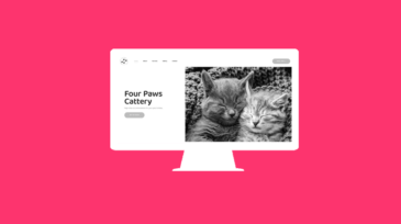 xepa-development-portfolio-four-paws-cattery