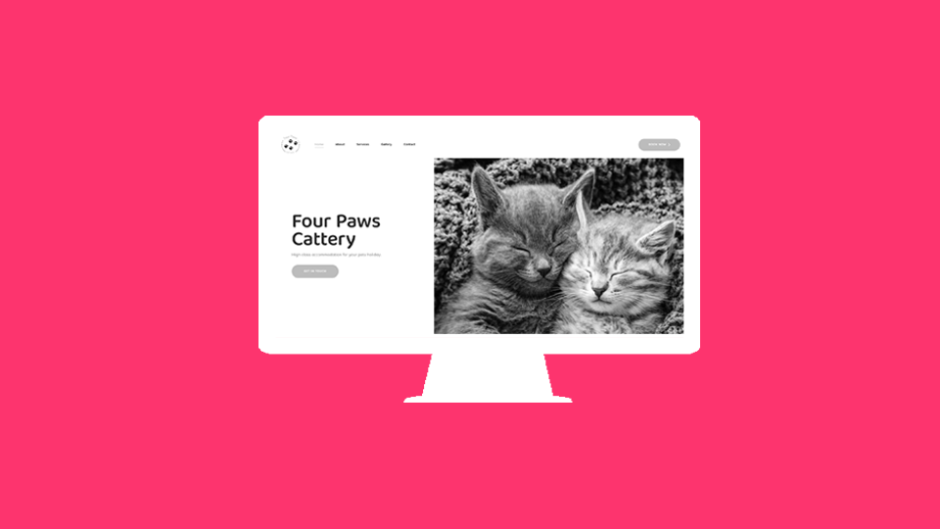 xepa-development-portfolio-four-paws-cattery